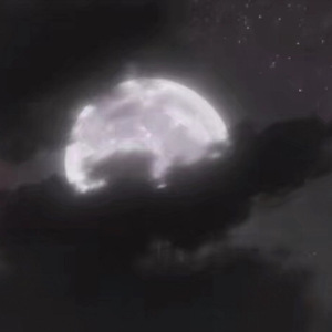 日本少妇按摩性爱视频
